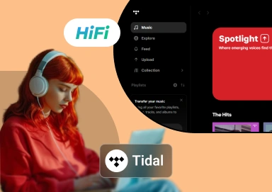 Tidal Music Converter