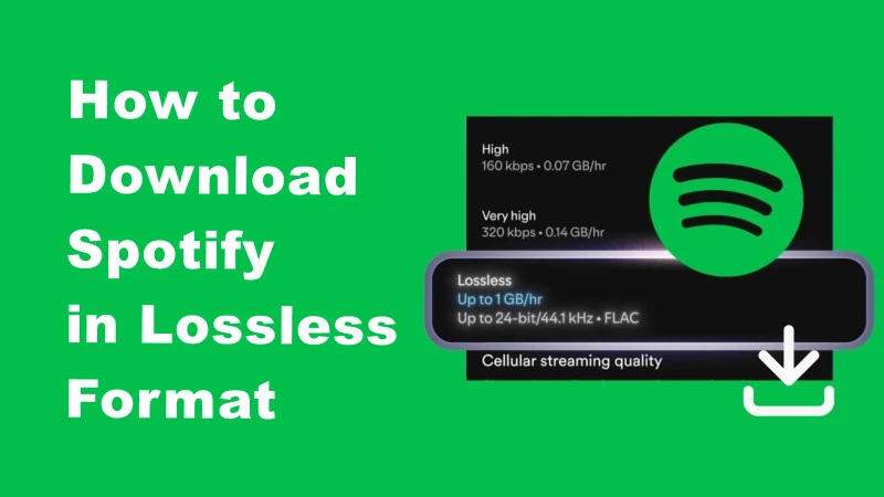 Spotify Lossless Music Download