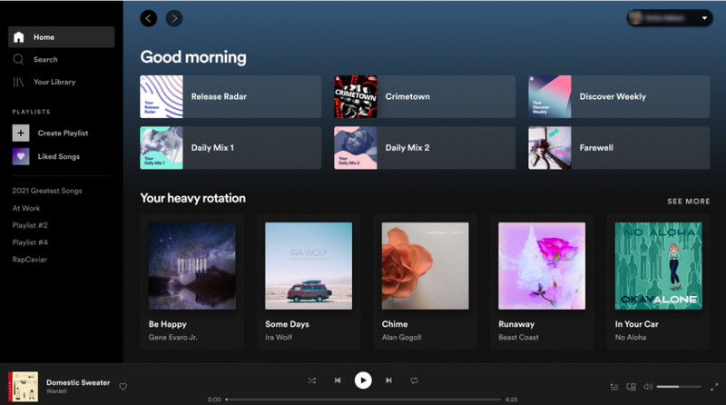spotify interface