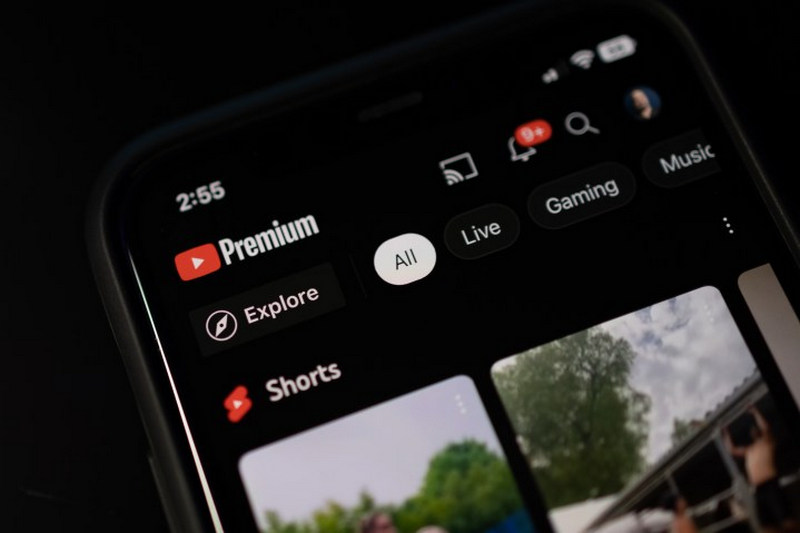 youtube music premium interface