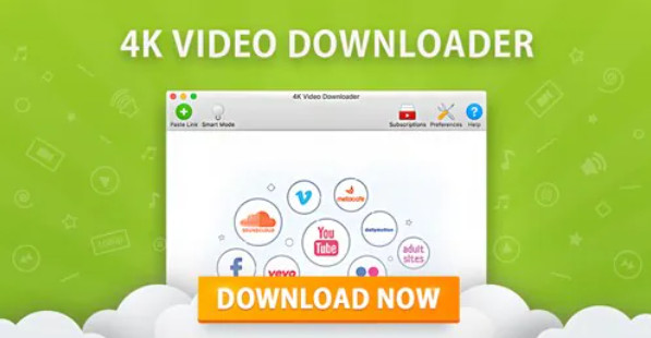 convert youtube playlist by 4k video downloader