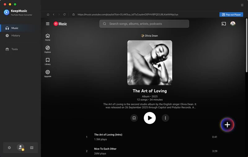 add youtube music to convert